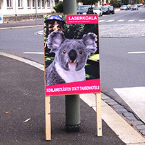 Große Koalaition